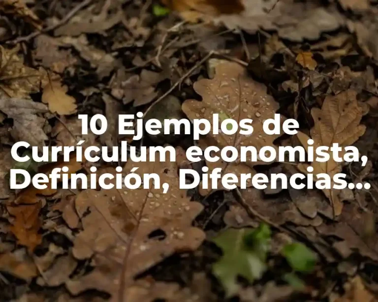 10 Ejemplos de Currículum economista, Definición, Diferencias y para que sirve