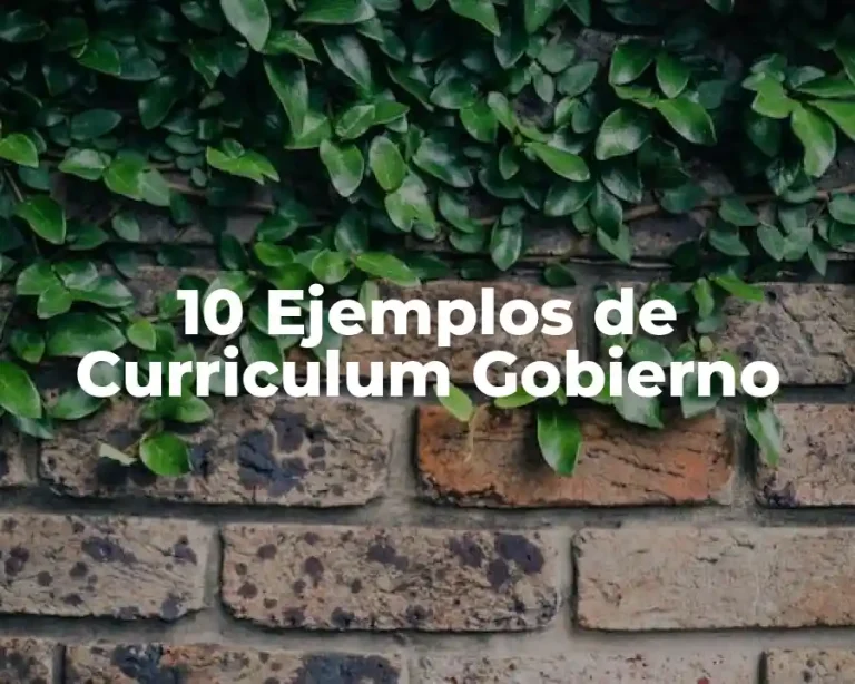 10 Ejemplos de Curriculum Gobierno