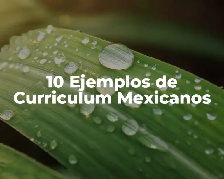 10 Ejemplos de Curriculum Mexicanos