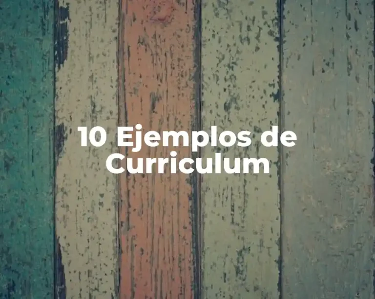 10 Ejemplos de Curriculum