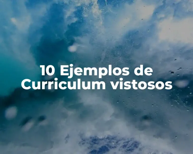 10 Ejemplos de Curriculum vistosos