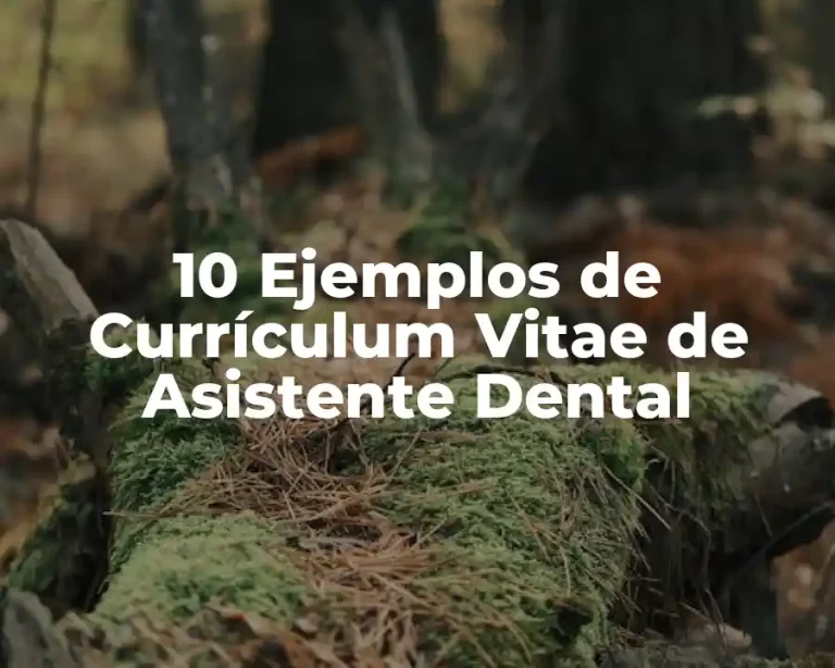10 Ejemplos de Currículum Vitae de Asistente Dental