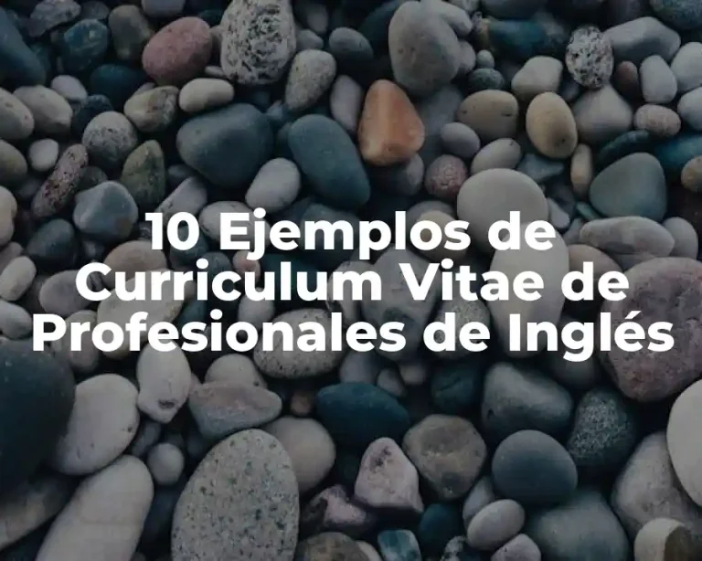 10 Ejemplos de Curriculum Vitae de Profesionales de Inglés