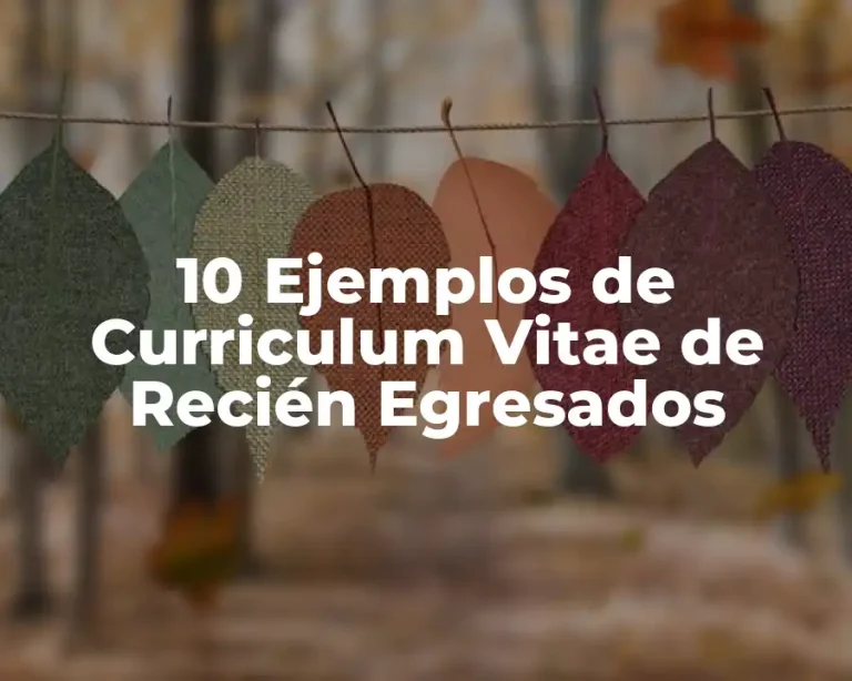 10 Ejemplos de Curriculum Vitae de Recién Egresados