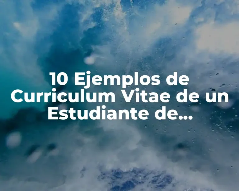 10 Ejemplos de Curriculum Vitae de un Estudiante de Administración