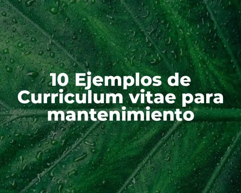 10 Ejemplos de Curriculum vitae para mantenimiento