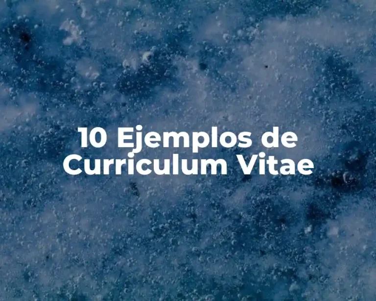 10 Ejemplos de Curriculum Vitae