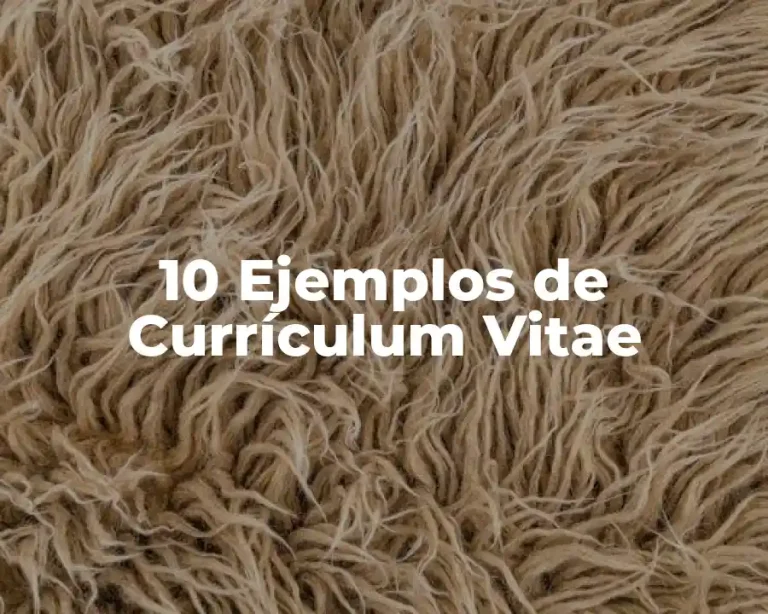 10 Ejemplos de Currículum Vitae