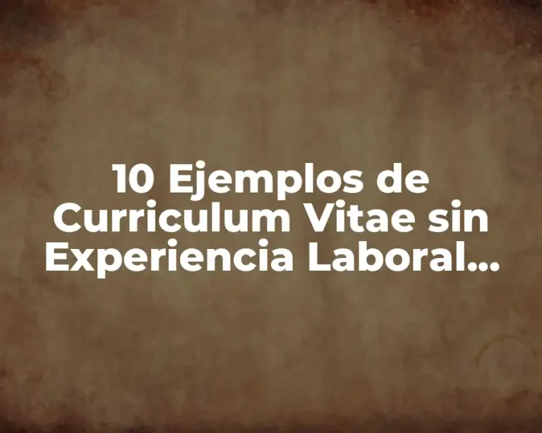 10 Ejemplos de Curriculum Vitae sin Experiencia Laboral México