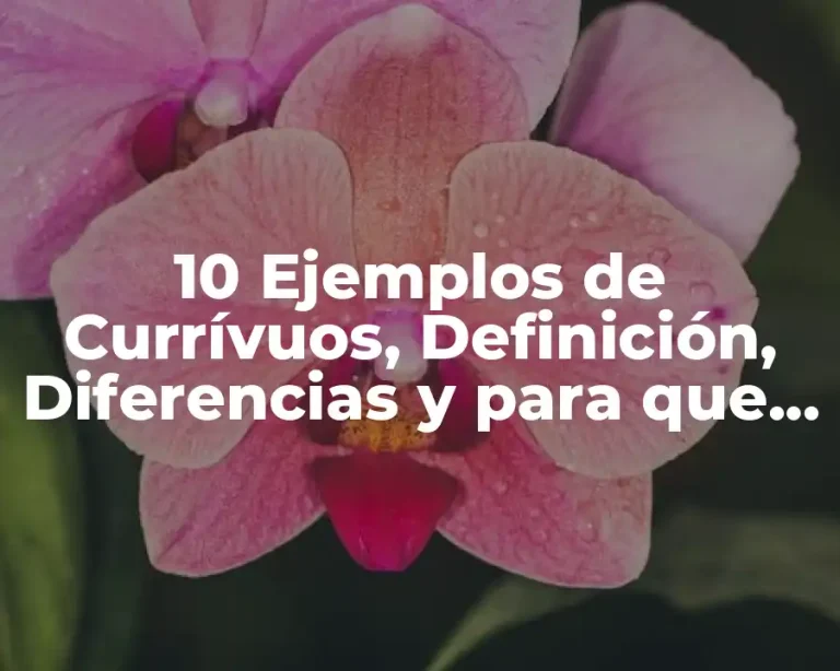 10 Ejemplos de Currívuos, Definición, Diferencias y para que sirve