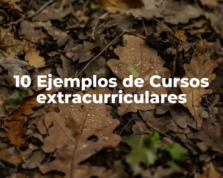 10 Ejemplos de Cursos extracurriculares