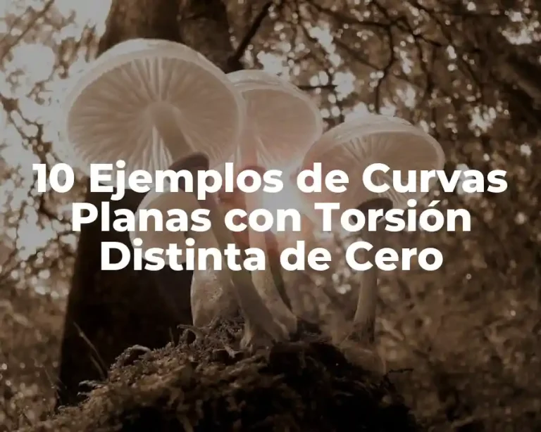 10 Ejemplos de Curvas Planas con Torsión Distinta de Cero