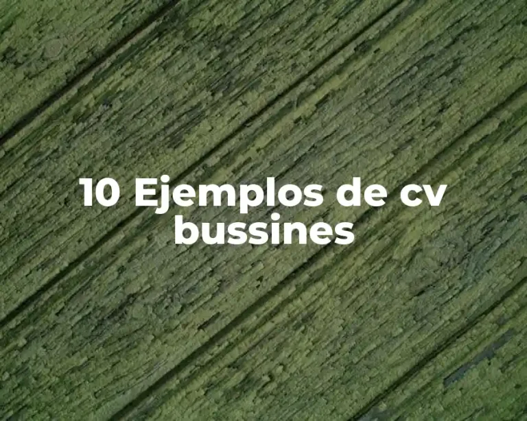 10 Ejemplos de cv bussines