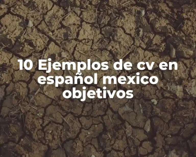 10 Ejemplos de cv en español mexico objetivos