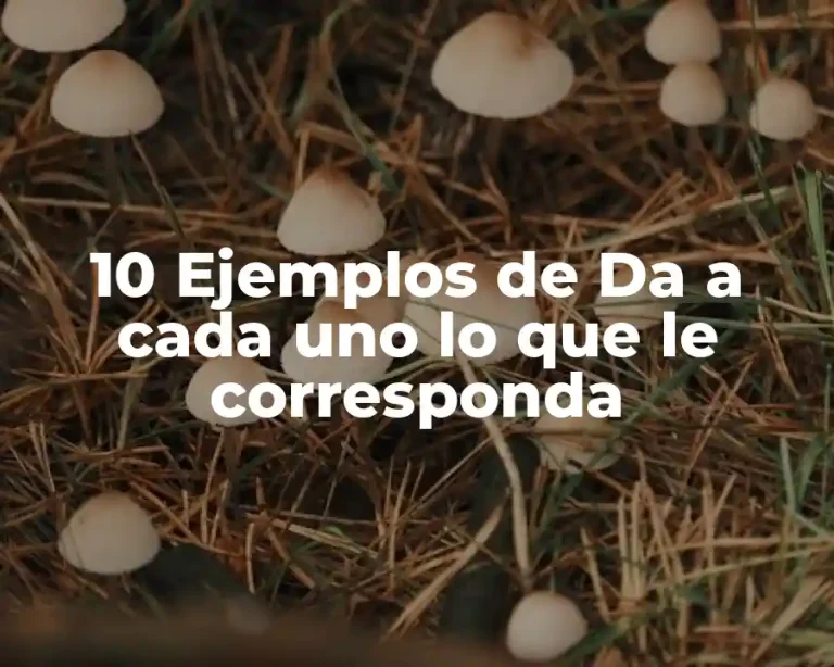 10 Ejemplos de Da a cada uno lo que le corresponda