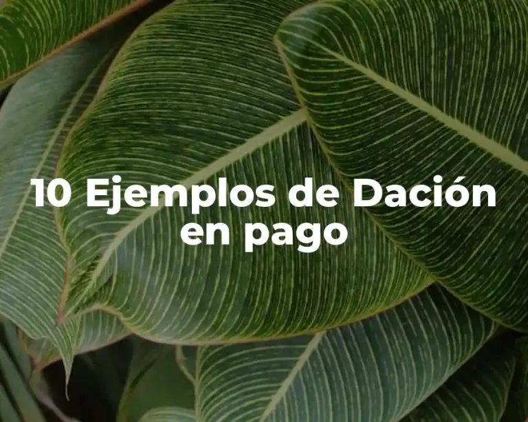 10 Ejemplos de Dación en pago