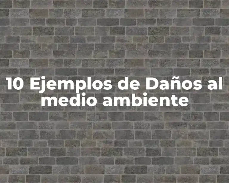 10 Ejemplos de Daños al medio ambiente