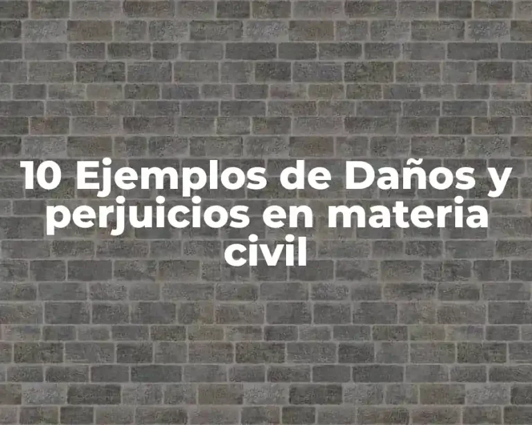 10 Ejemplos de Daños y perjuicios en materia civil