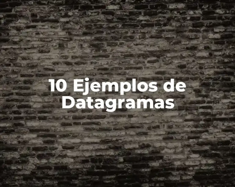 10 Ejemplos de Datagramas