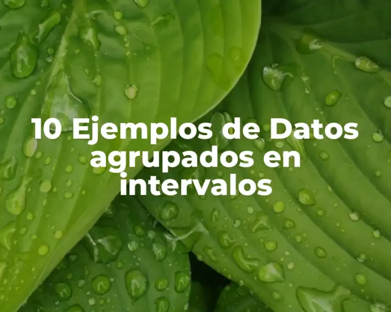 10 Ejemplos de Datos agrupados en intervalos
