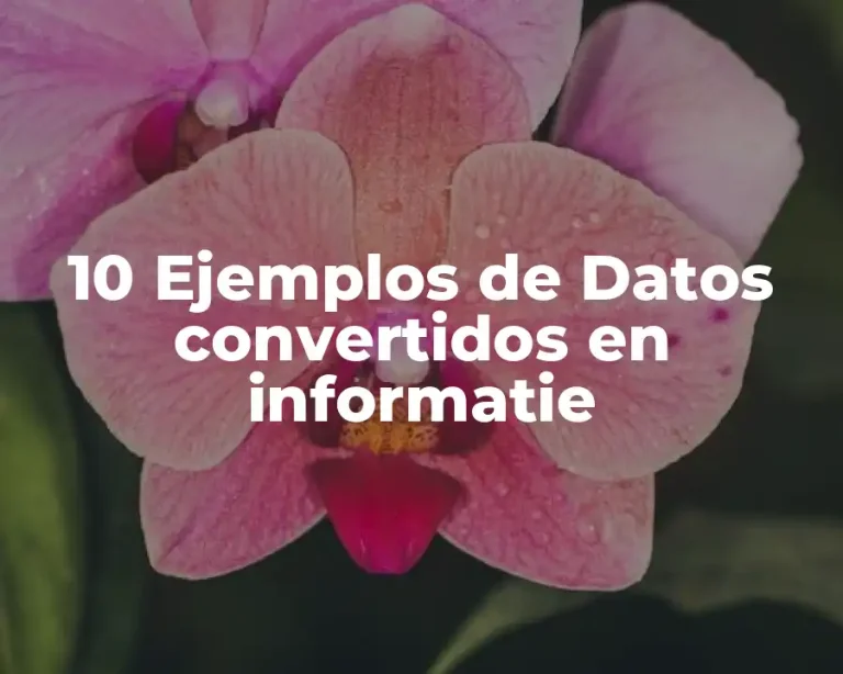 10 Ejemplos de Datos convertidos en informatie