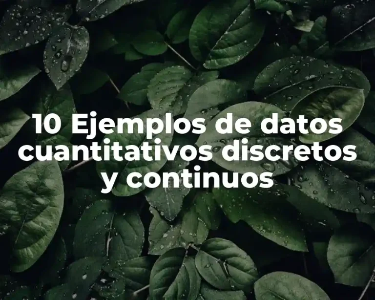 10 Ejemplos de datos cuantitativos discretos y continuos
