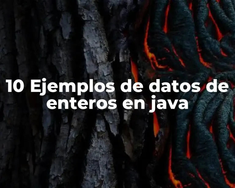 10 Ejemplos de datos de enteros en java