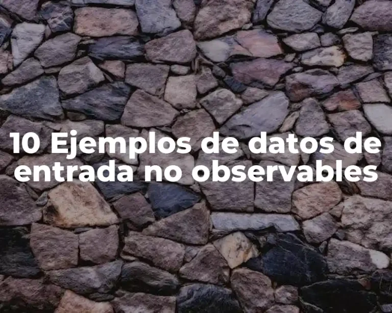 10 Ejemplos de datos de entrada no observables