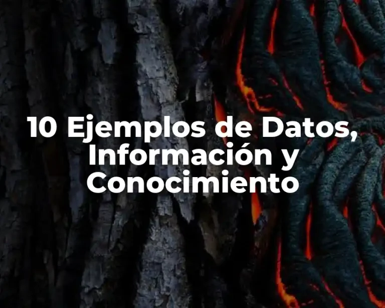 10 Ejemplos de Datos, Información y Conocimiento