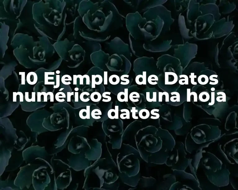 10 Ejemplos de Datos numéricos de una hoja de datos