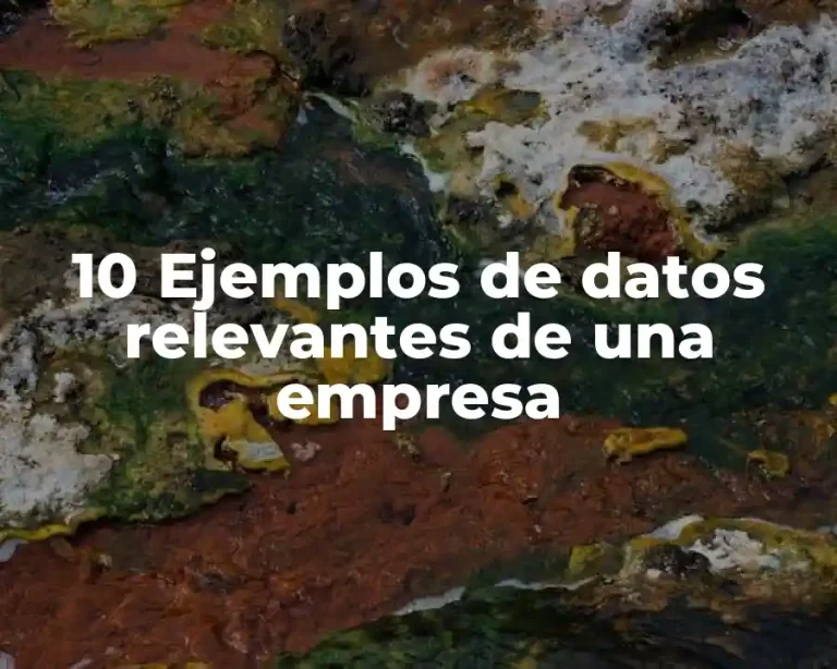 10 Ejemplos de datos relevantes de una empresa
