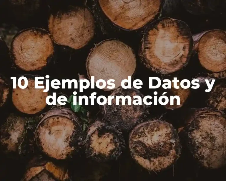 10 Ejemplos de Datos y de información