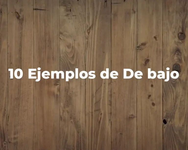 10 Ejemplos de De bajo