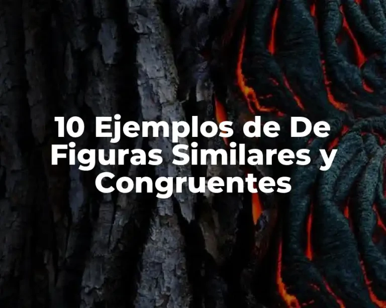10 Ejemplos de De Figuras Similares y Congruentes