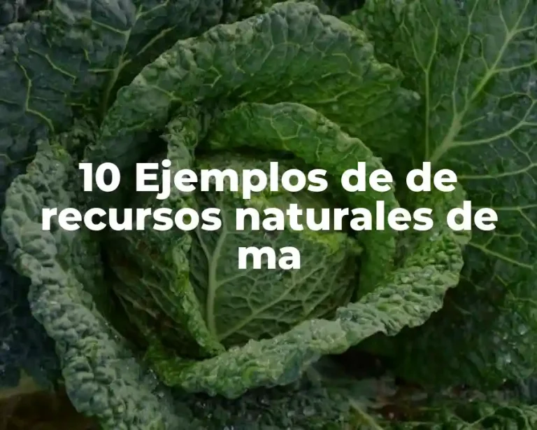 10 Ejemplos de de recursos naturales de ma