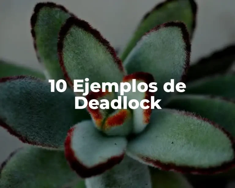 10 Ejemplos de Deadlock