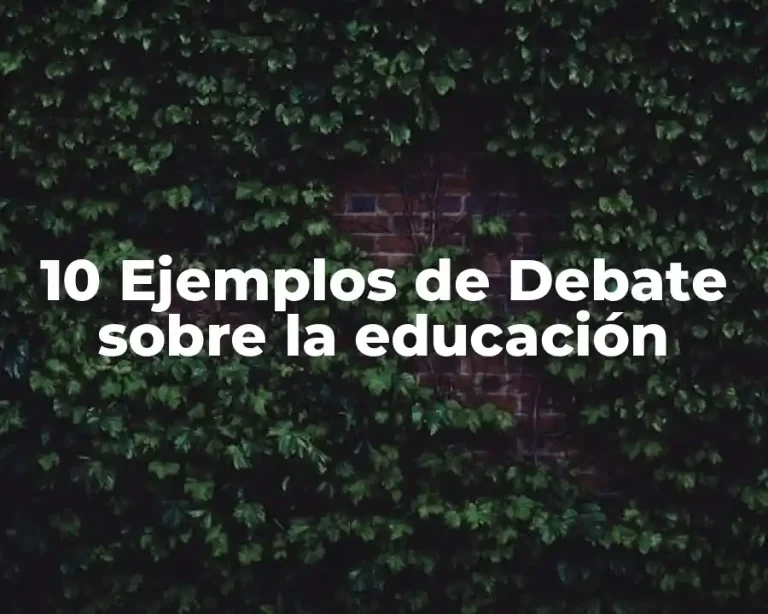 10 Ejemplos de Debate sobre la educación