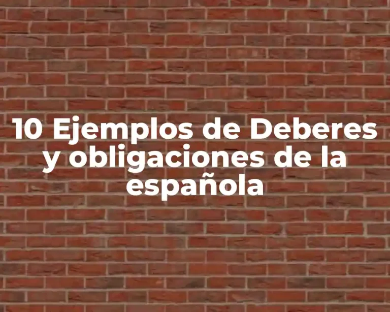 10 Ejemplos de Deberes y obligaciones de la española