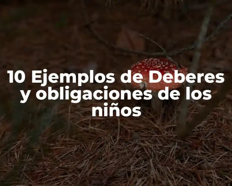 10 Ejemplos de Deberes y obligaciones de los niños