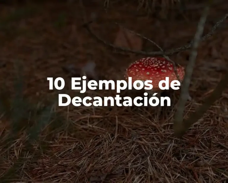 10 Ejemplos de Decantación
