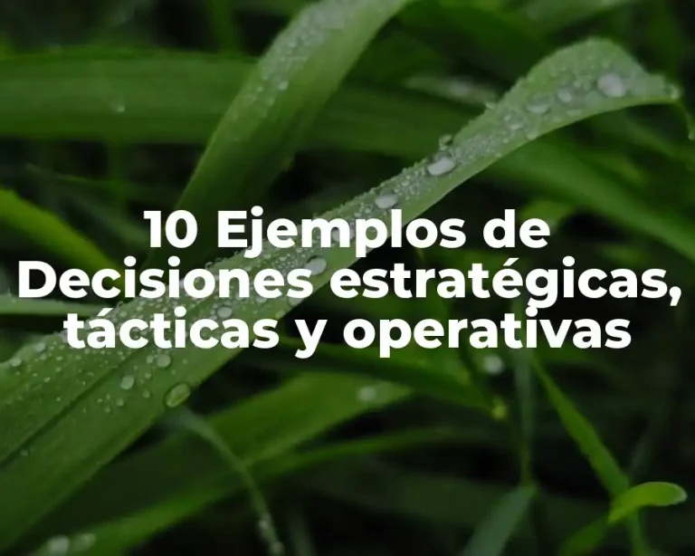10 Ejemplos de Decisiones estratégicas, tácticas y operativas