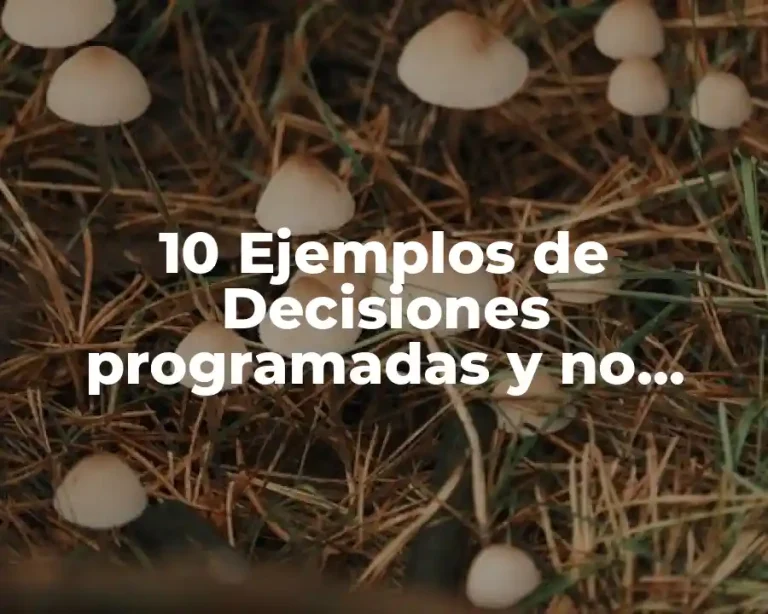10 Ejemplos de Decisiones programadas y no programadas en una escuela