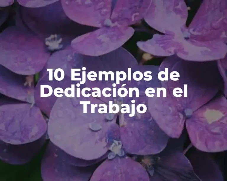 10 Ejemplos de Dedicación en el Trabajo