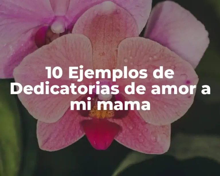 10 Ejemplos de Dedicatorias de amor a mi mama