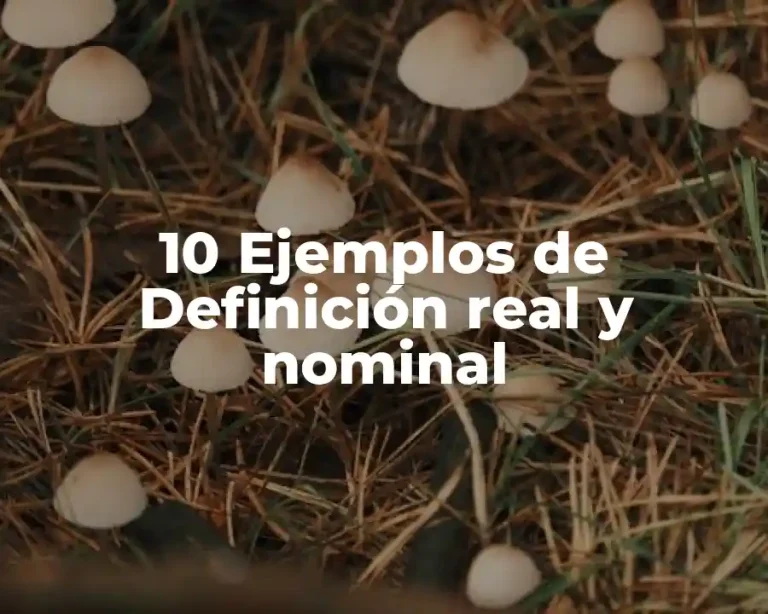 10 Ejemplos de Definición real y nominal