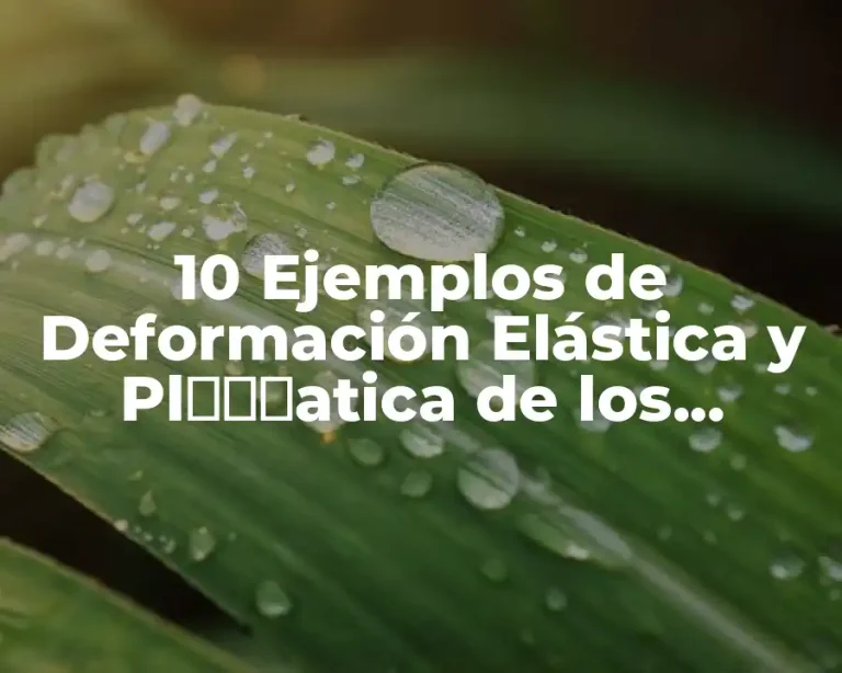 10 Ejemplos de Deformación Elástica y Plスティаtica de los Materiales