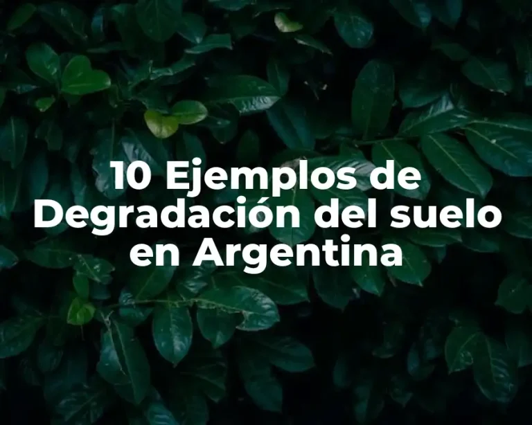 10 Ejemplos de Degradación del suelo en Argentina
