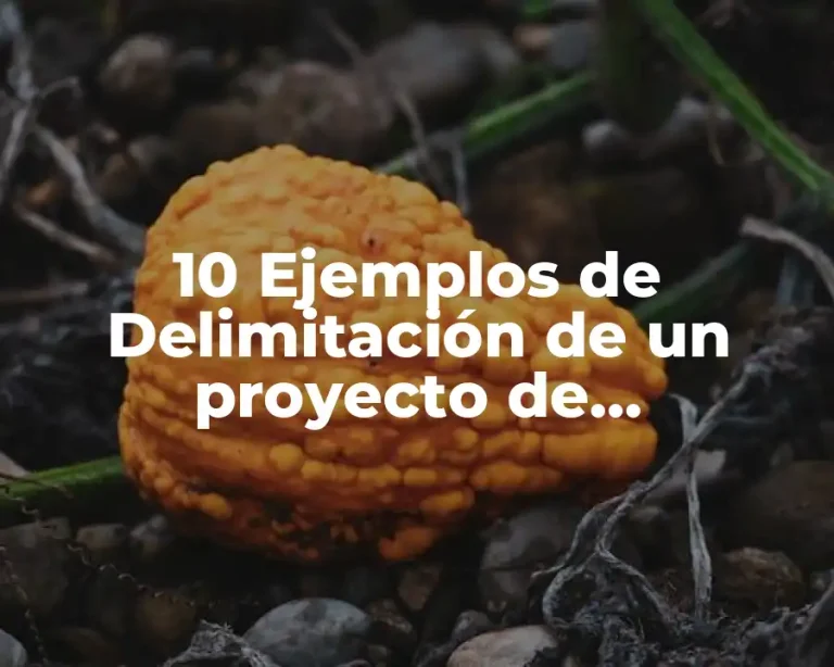 10 Ejemplos de Delimitación de un proyecto de investigación