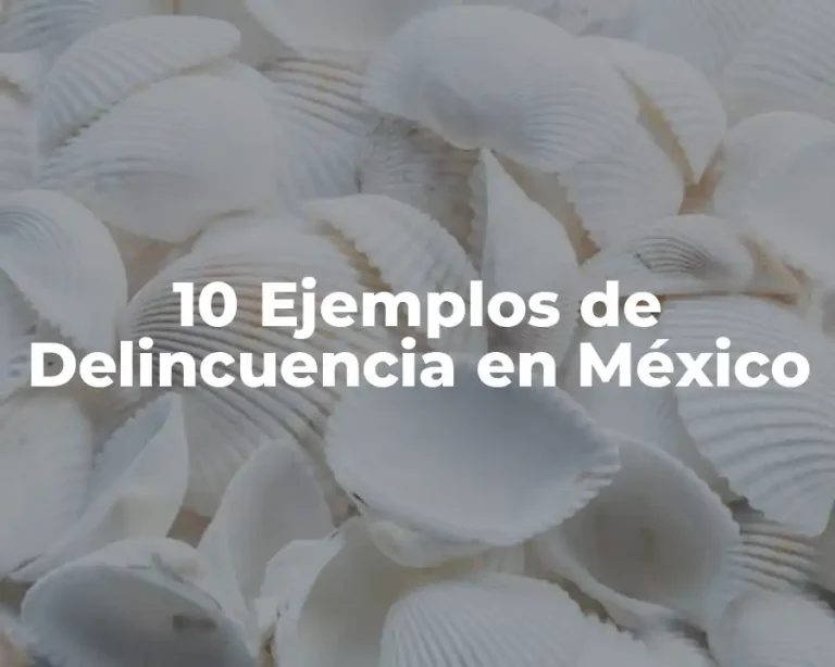 10 Ejemplos de Delincuencia en México