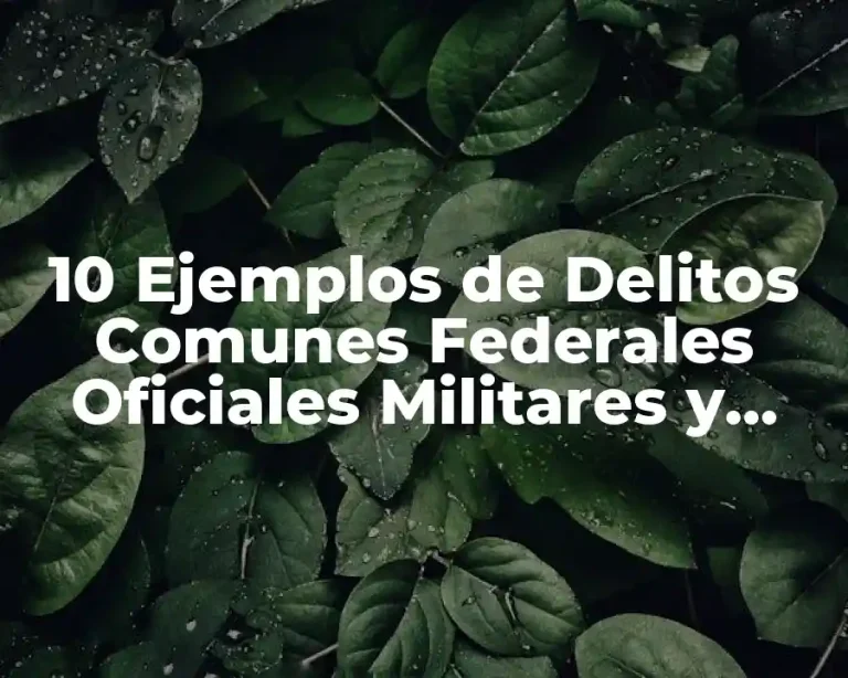 10 Ejemplos de Delitos Comunes Federales Oficiales Militares y Políticos